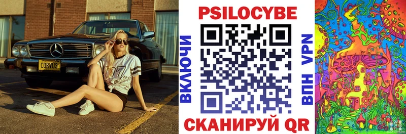 Псилоцибиновые грибы Psilocybine cubensis  Губкин 